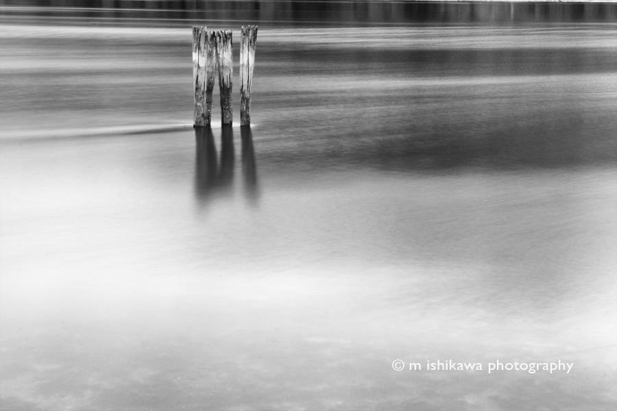 Barnet Beach (1), Burnaby BC