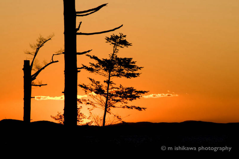 Semiahmoo, Washington 